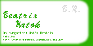 beatrix matok business card